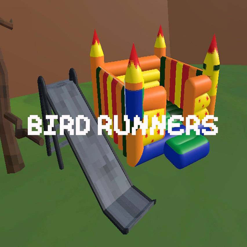 Bird Runners VR