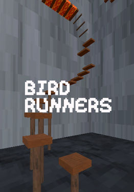 Bird Runners VR