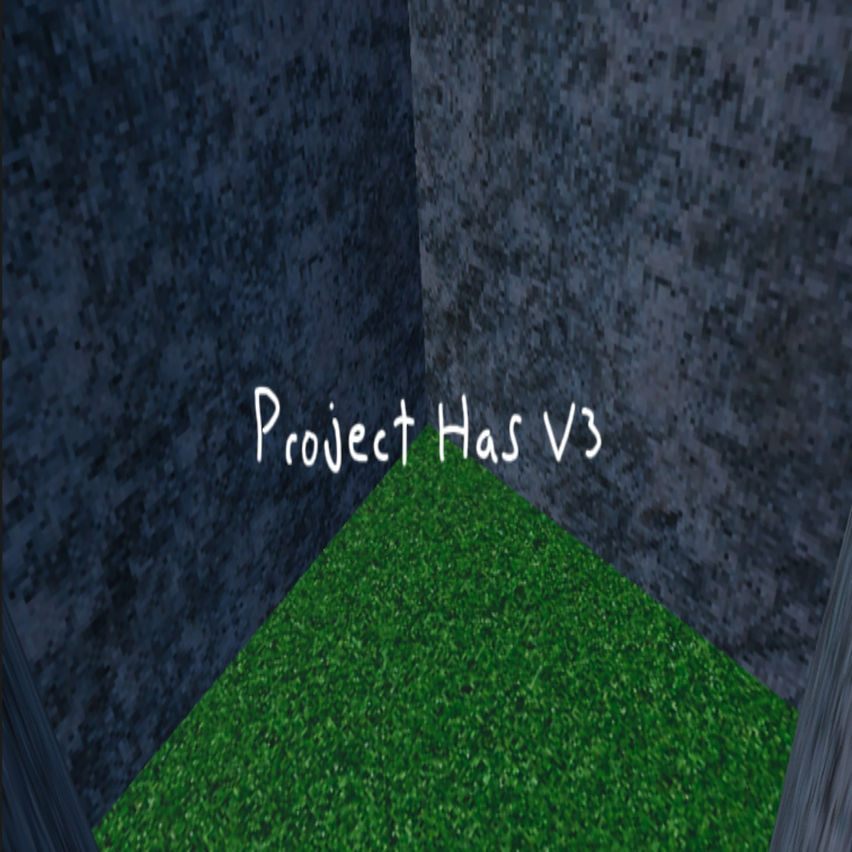 Project Has V3