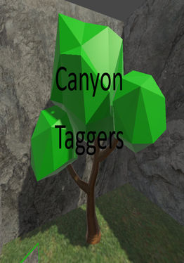Canyon Taggers