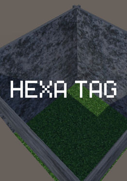 Hexa Tag