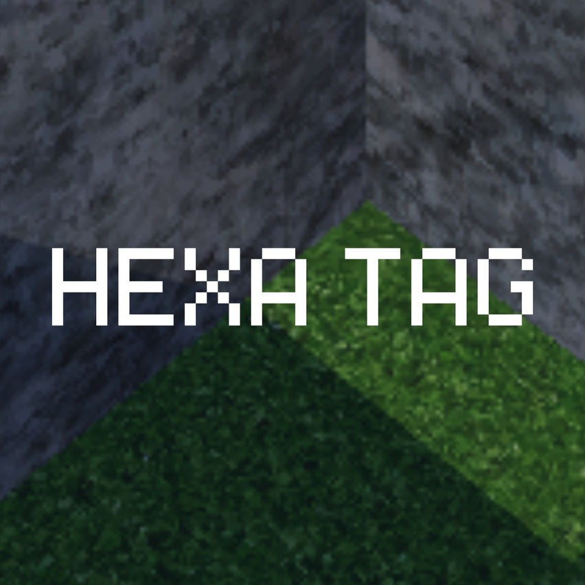 Hexa Tag