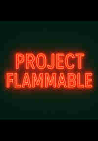 Project Flammable