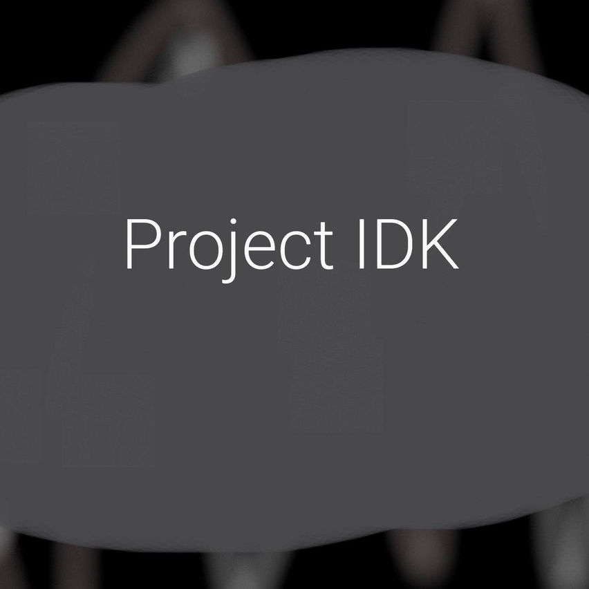 Project IDK