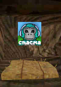 Chacma