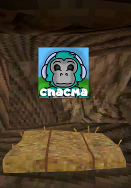 Chacma