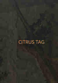 Citrus Tag