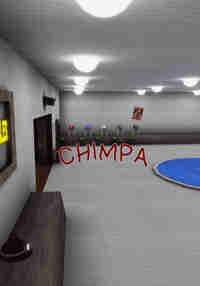 Chimpa VR