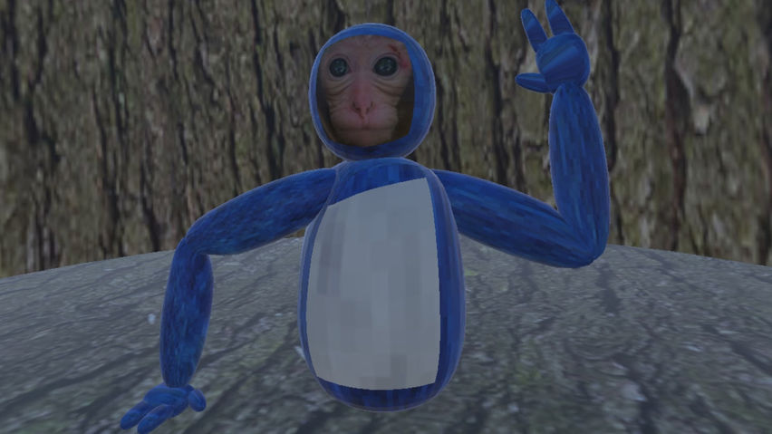 MonkeyRush