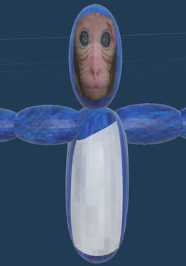 MonkeyRush