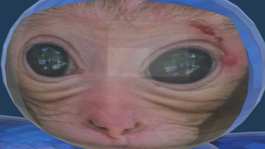 MonkeyRush
