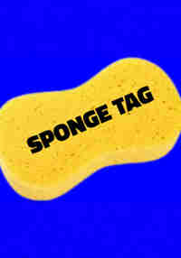 Sponge Tag