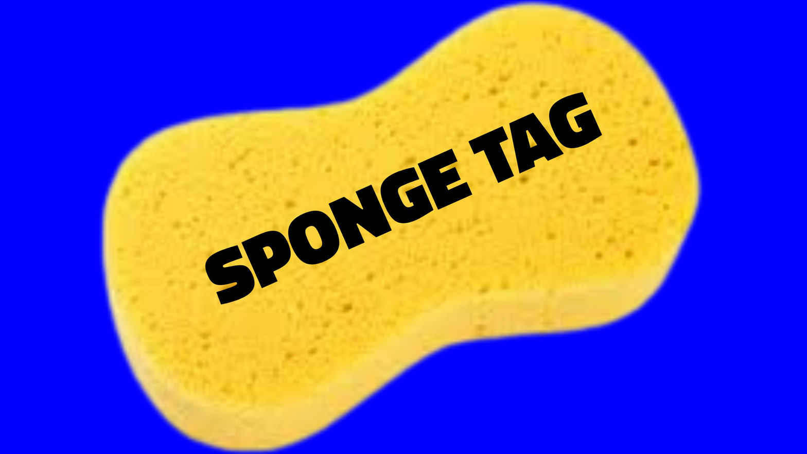 Sponge Tag