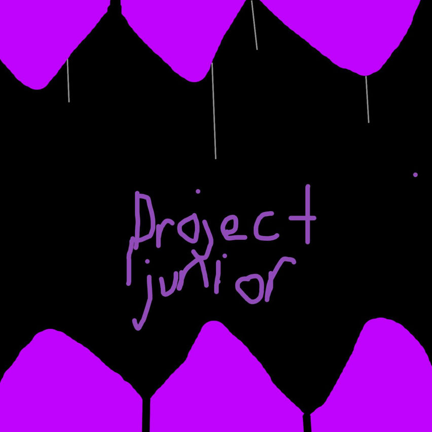 Project Junior