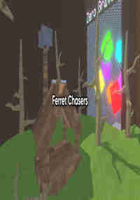 Ferret Chasers