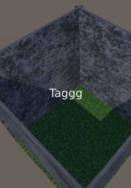 taggg