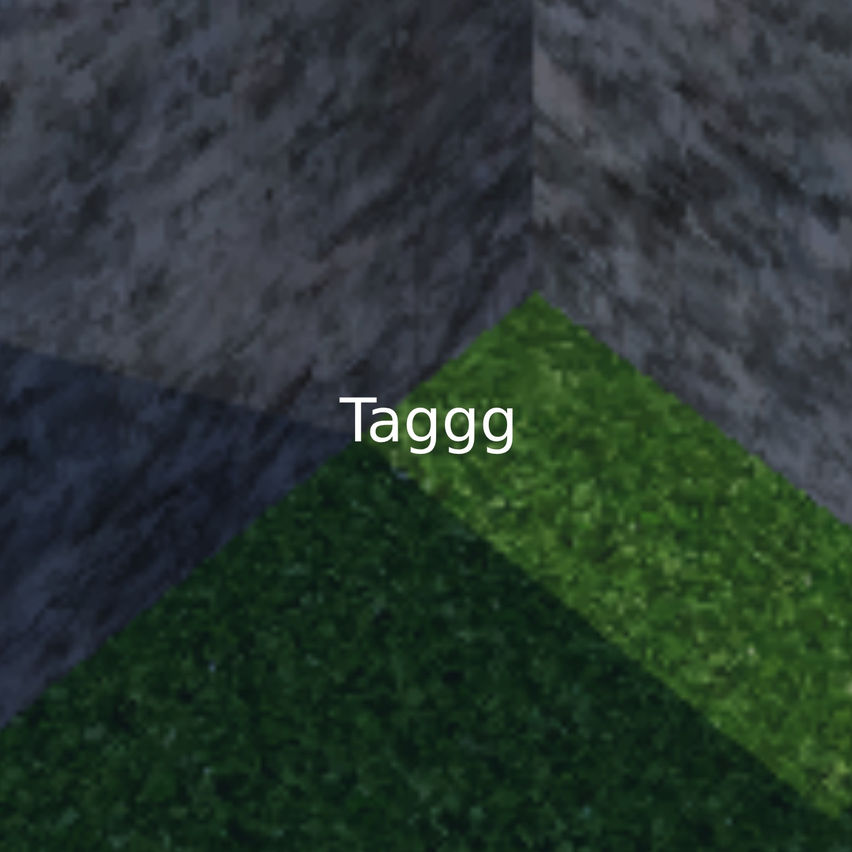 taggg