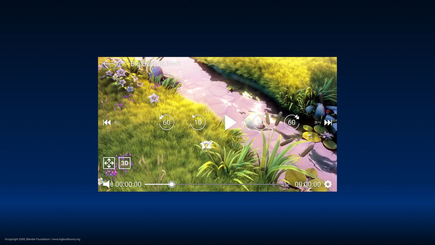 DMM VR Video Player