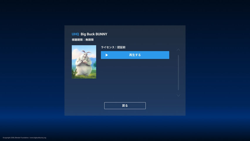 DMM VR Video Player
