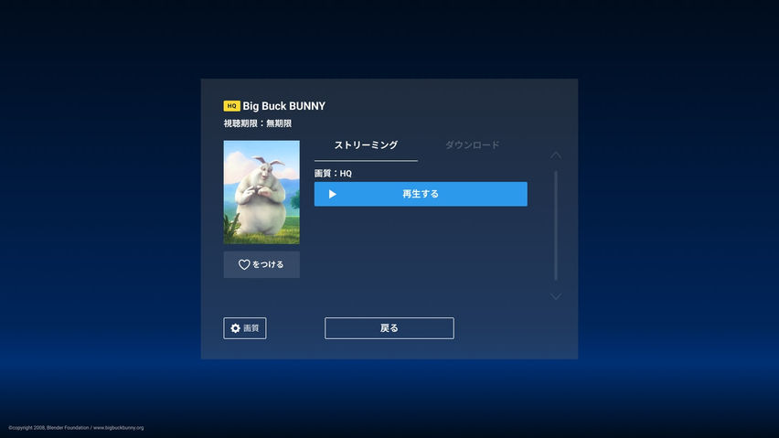 DMM VR Video Player