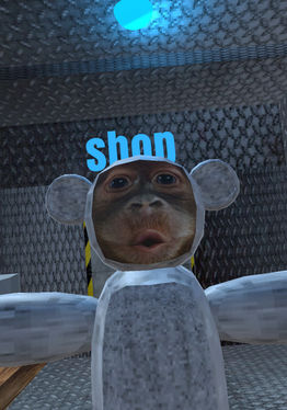 The lost monke