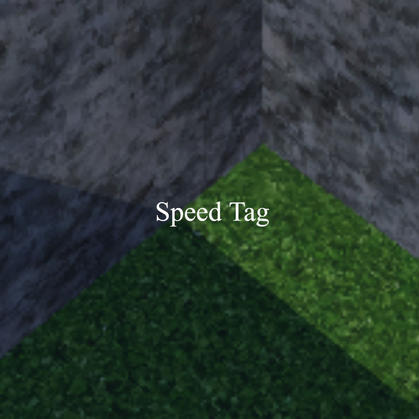 Speed Tag