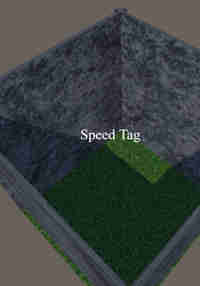 Speed Tag