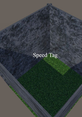 Speed Tag