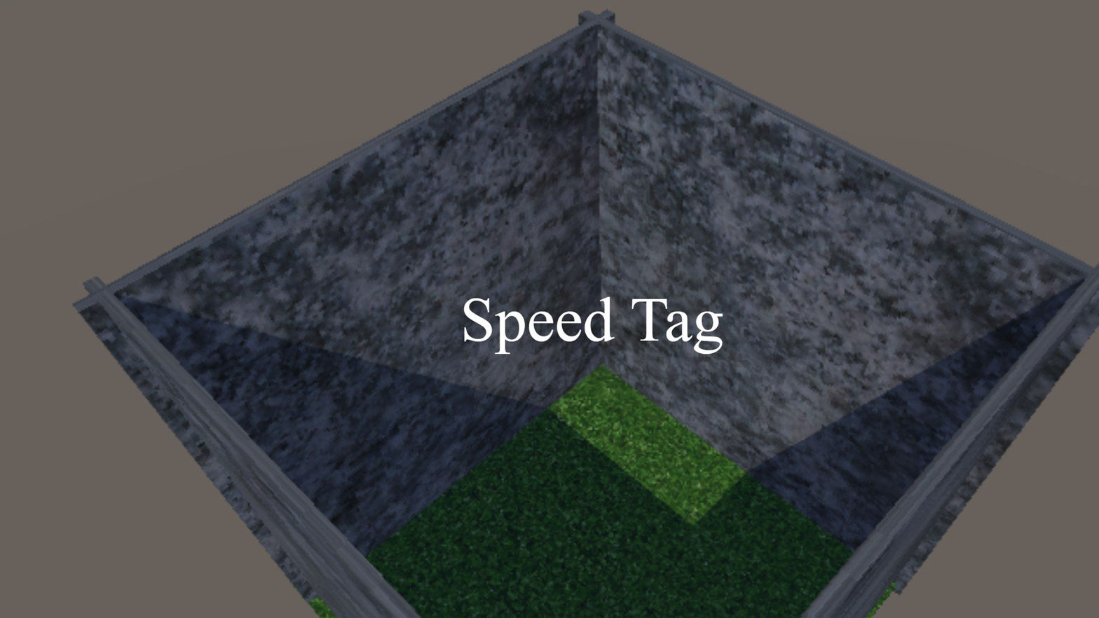 Speed Tag
