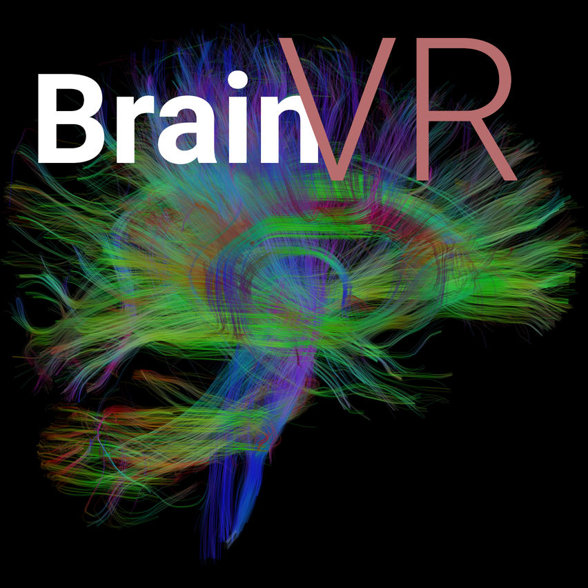 BrainVR