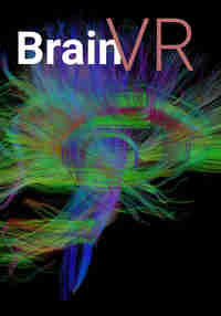 BrainVR