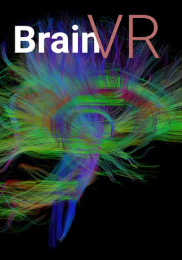 BrainVR