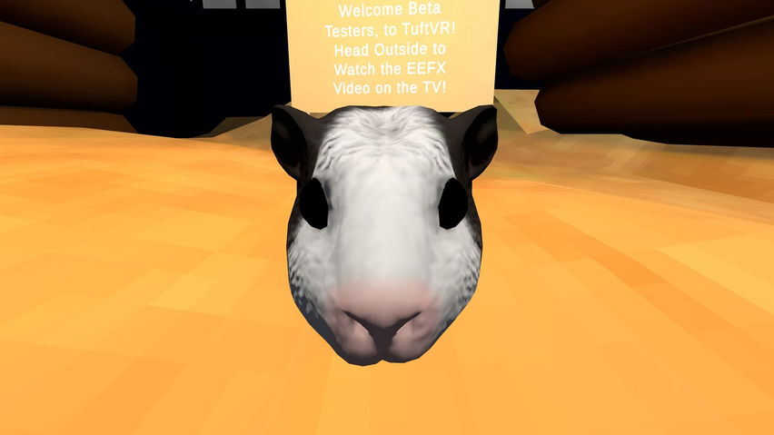 Tuft VR