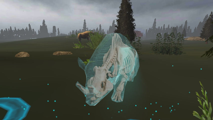 Expedition Nebraska: A Natural History VR Experience