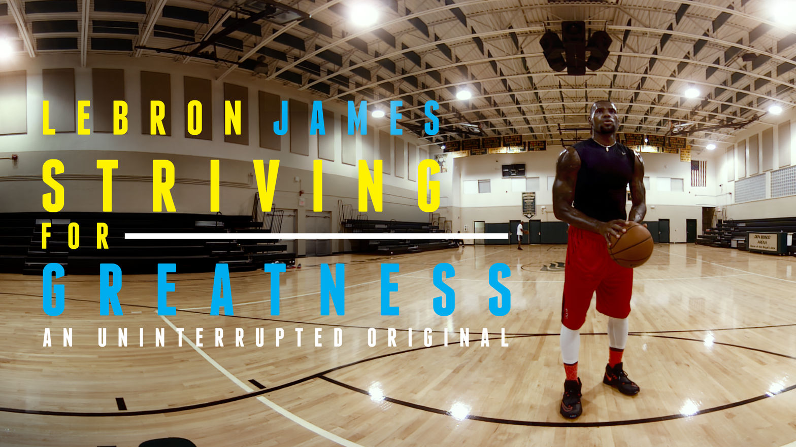 LeBron James - Striving for Greatness