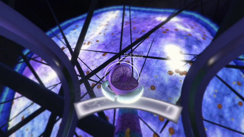 The Body VR