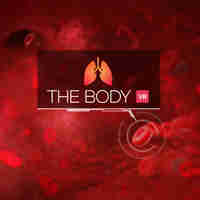 The Body VR