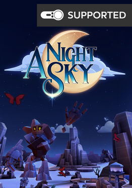 A Night Sky