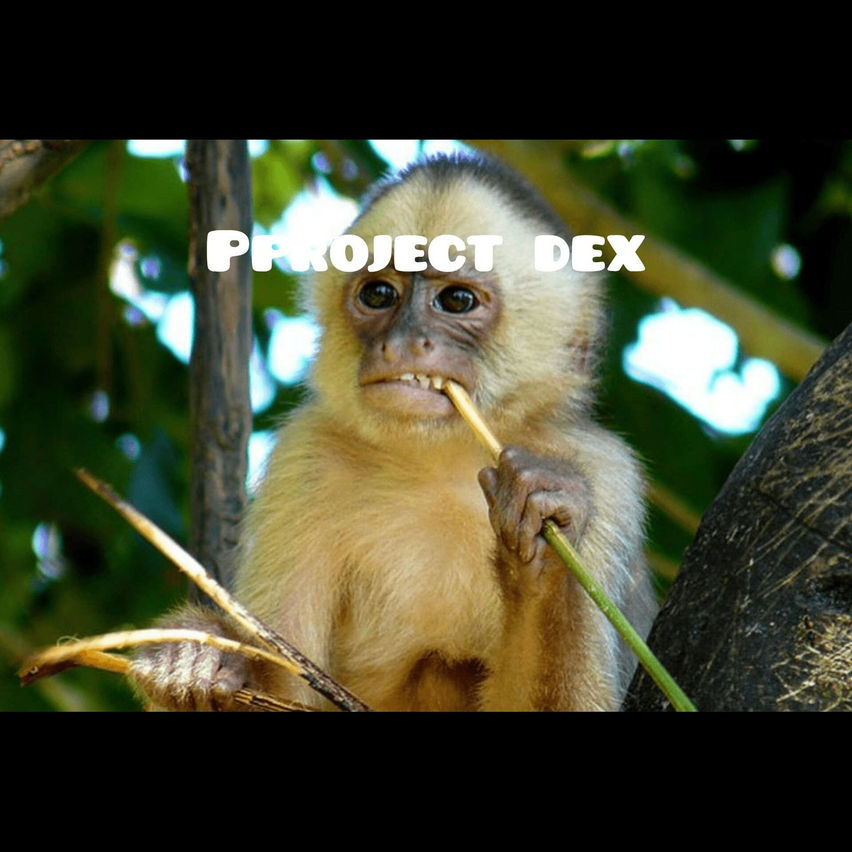 project dex