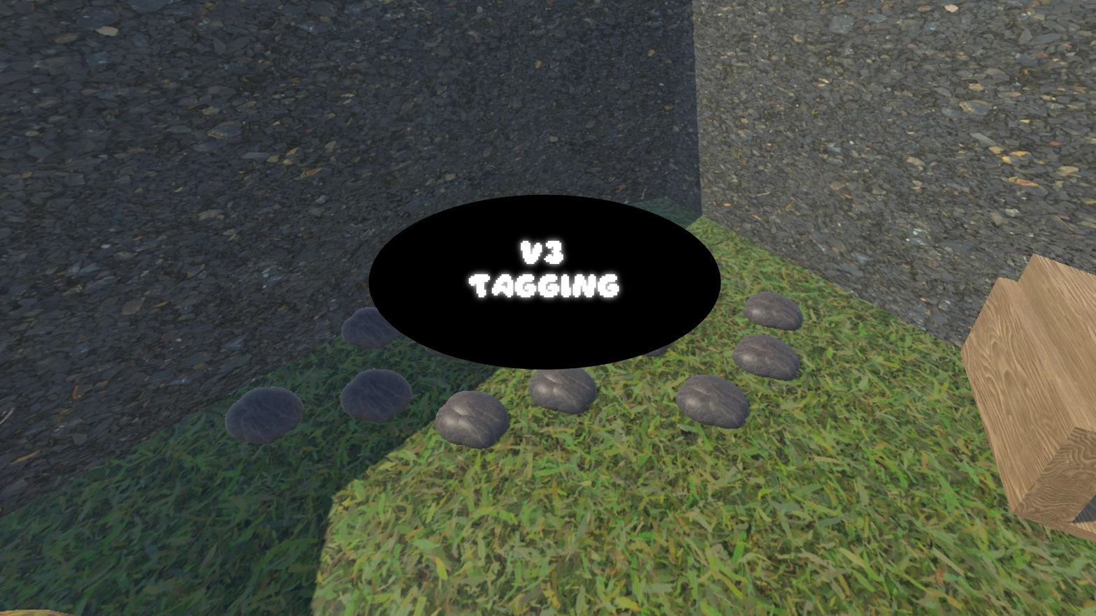Tagging V3
