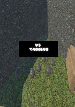 Tagging V3
