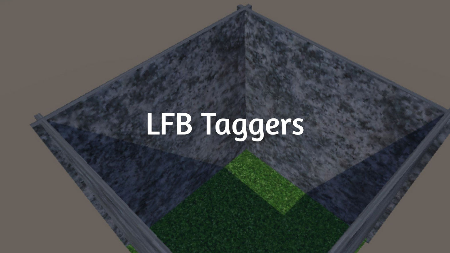 LFB Taggers