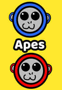 Ape Possession