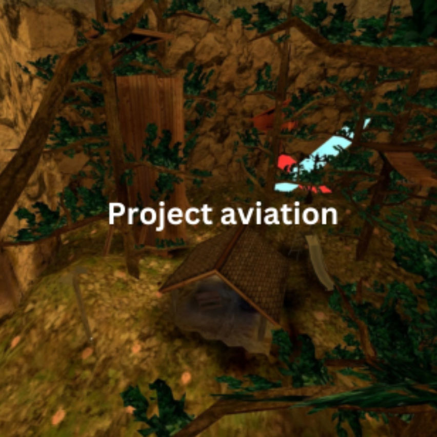 Project Aviation