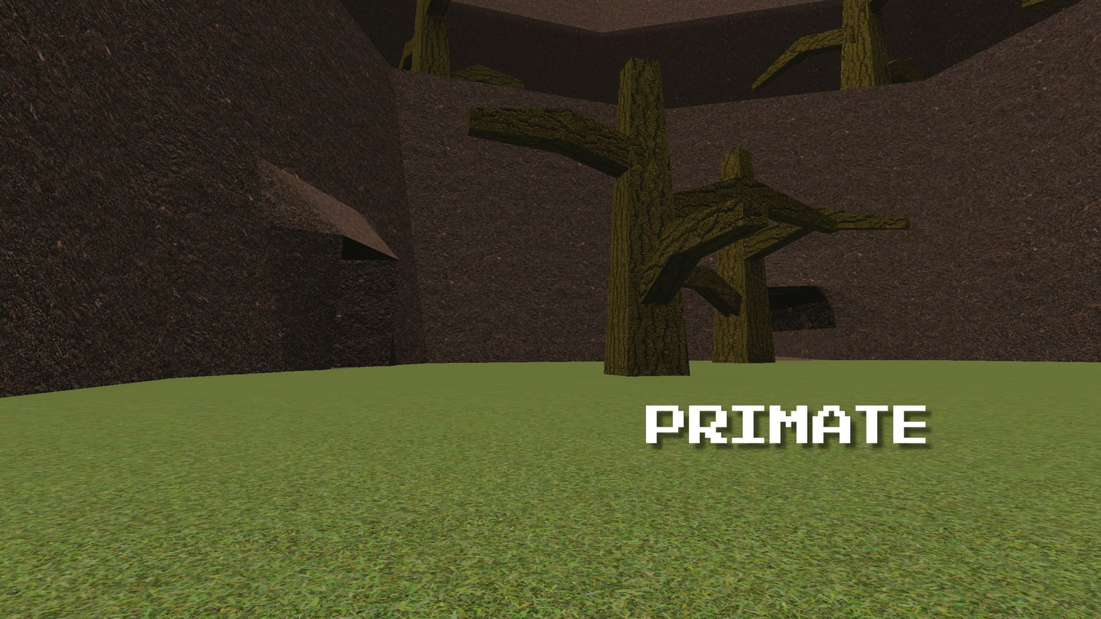 Primate