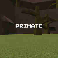 Primate