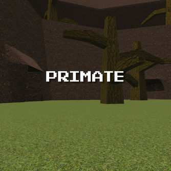 Primate