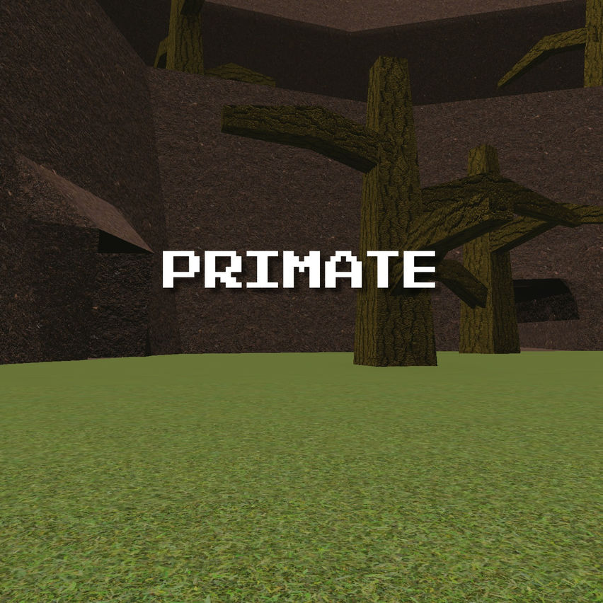 Primate