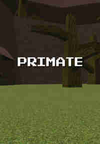 Primate