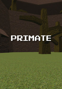 Primate